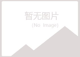 山城区涟漪会计有限公司